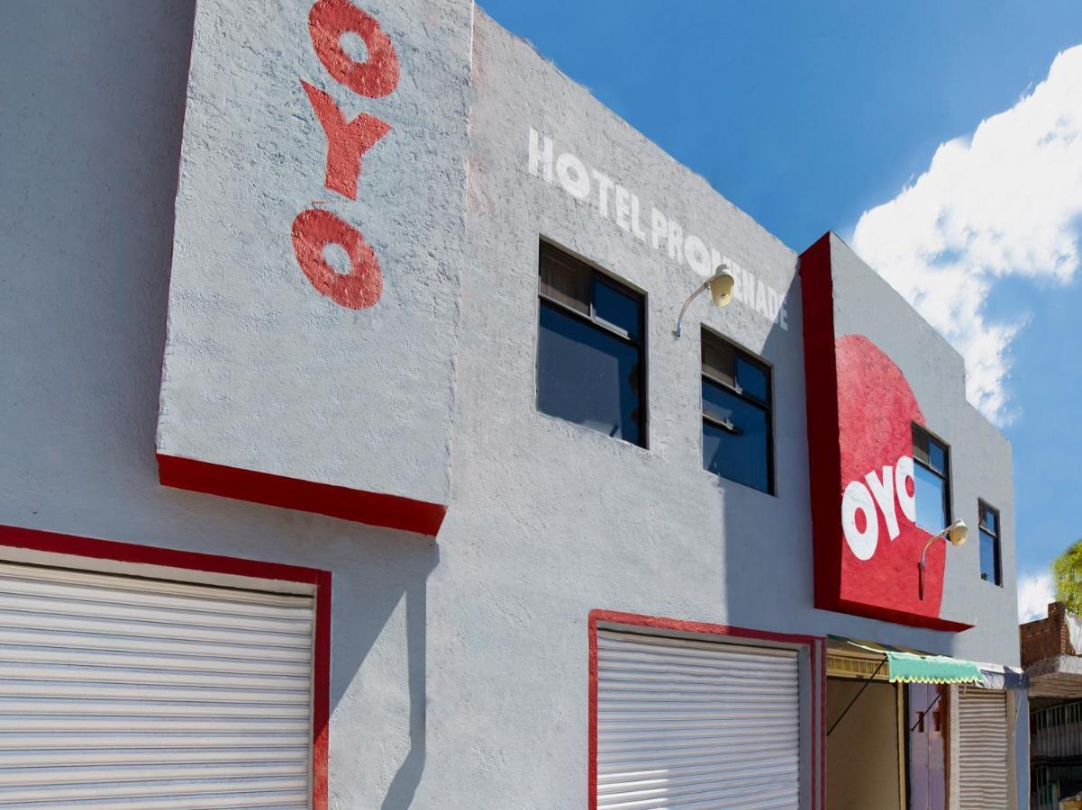Oyo Promenade,Terminal Central De Autobuses De Guanajuato Eksteriør billede