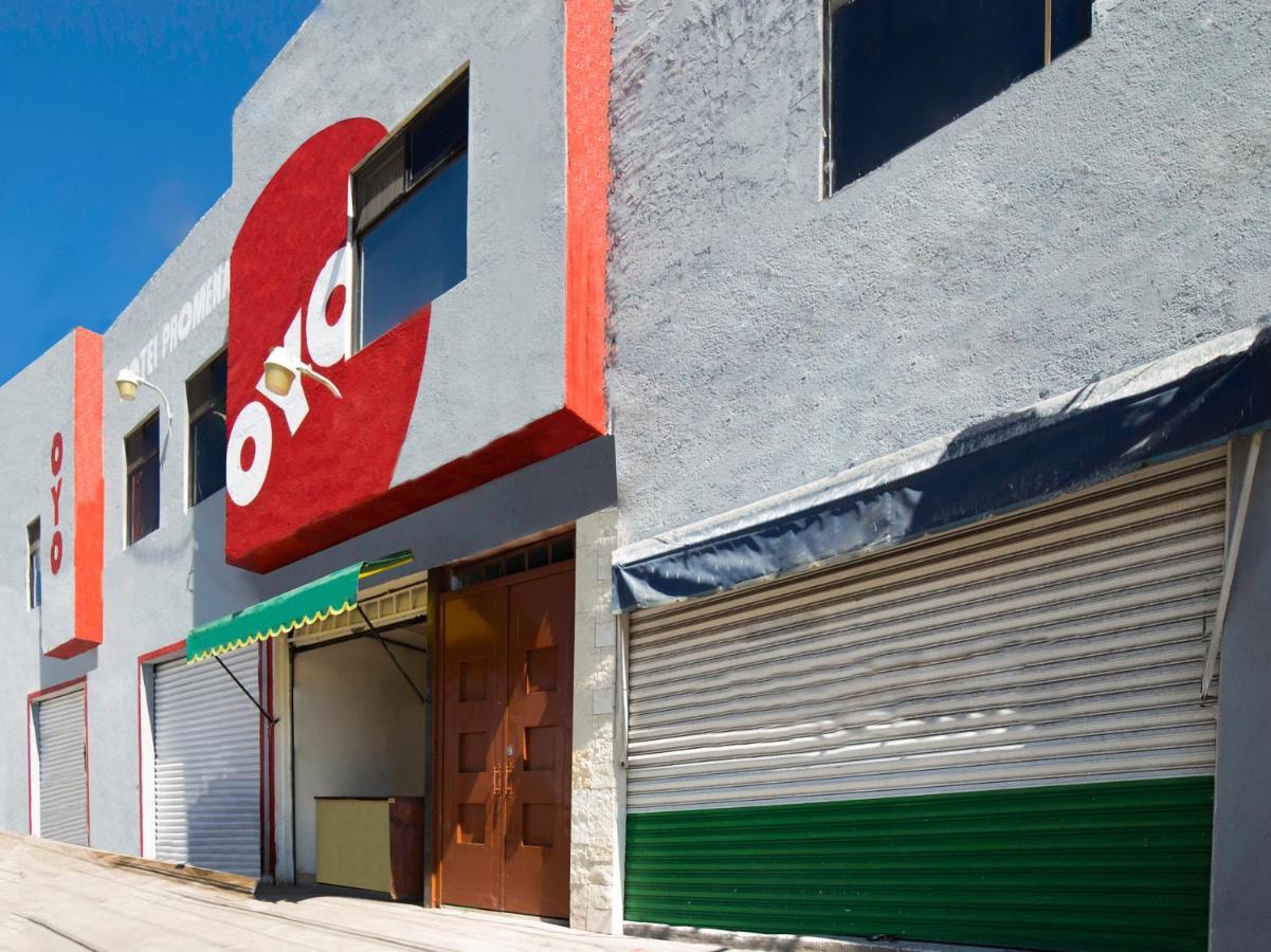 Oyo Promenade,Terminal Central De Autobuses De Guanajuato Eksteriør billede