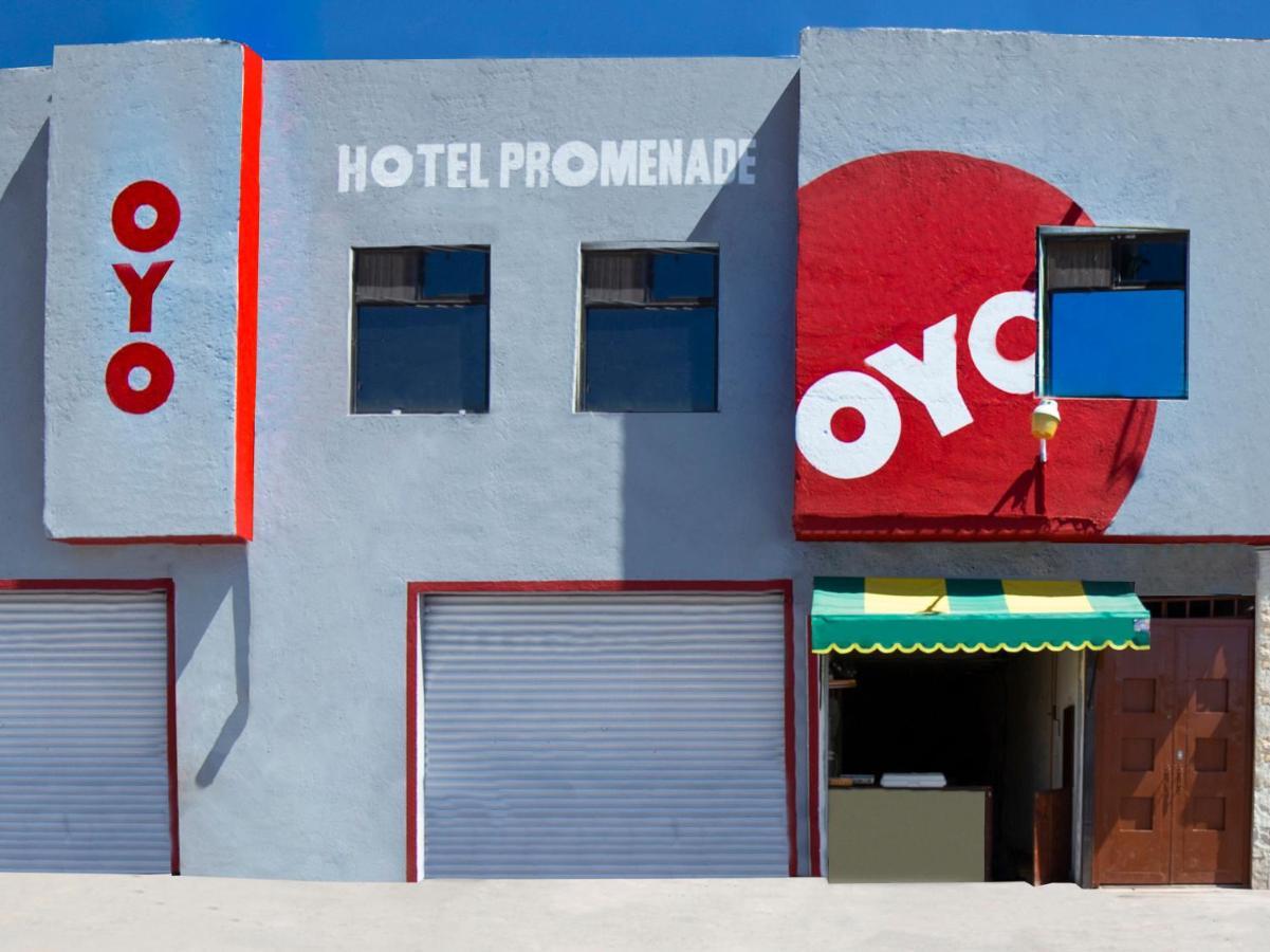 Oyo Promenade,Terminal Central De Autobuses De Guanajuato Eksteriør billede